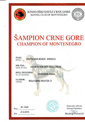 Champ-of-Montenegro-Vayron