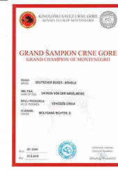Grand-Champ-of-Montenegro-Vayron