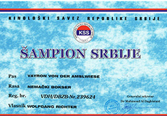 Vayron-Champion-Serbien